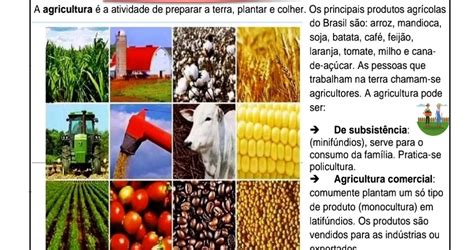 Agricultura Pecuaria E Extrativismo 4 Ano