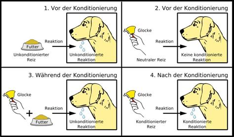 Pawlowscher Hund Archive Philosophia Perennis