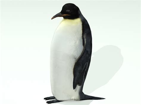 3d penguin model