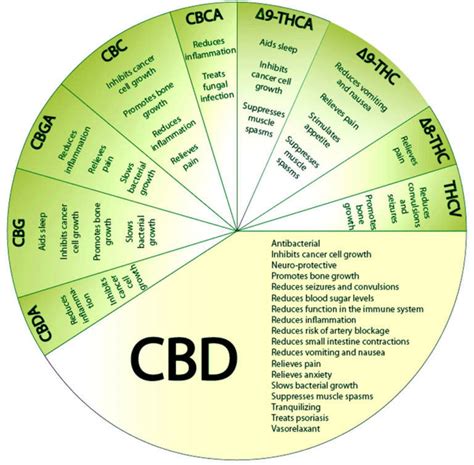 Cannabinoids And Their Medicinal Properties Alchimia Grow Shop