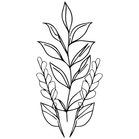 Premium Vector | Botanical line drawing simple botanical line drawing ...