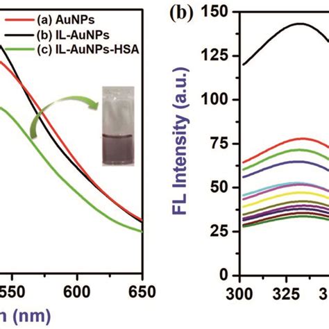 A Absorbance Spectra Of Ilaunps And Ilaunps With Hsa And B