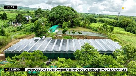 Une Ombri Re Photovolta Que Pour Prot Ger La Culture De La Vanille