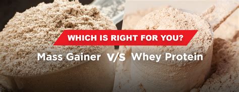 Mass Gainer Vs Whey Protein Which Is Right For You