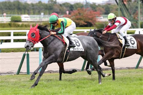 東スポ競馬 On Twitter 【 阪神jf ・激推し】〝抽選突破〟ならワンチャンあり 不利なトラックバイアスをぶっこ抜き！〝魅惑〟の