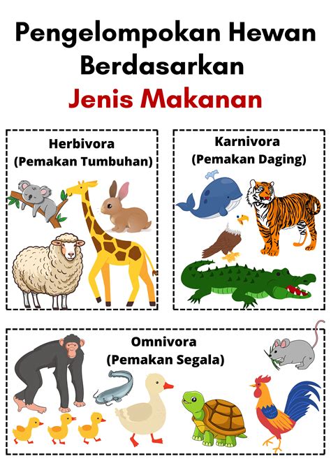 Jenis Makanan (Hewan) | Hewan, Materi guru, Aktivitas montessori