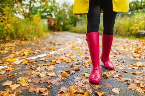 Botte De Pluie Femme SamBottes