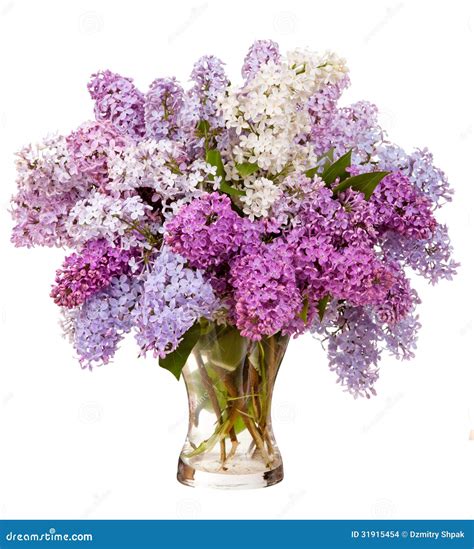 Lilacs In A Glass Vase Stock Photo Image Of Aromatic 31915454