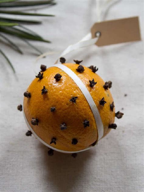 Diy Gift Orange And Clove Pomander Gardenista Web Story Gardenista