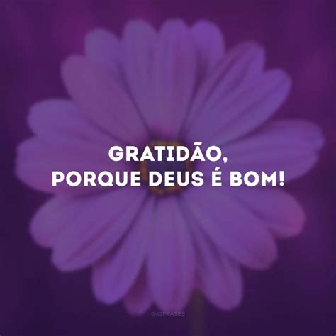 50 Frases De Gratidão A Deus Para Status Celebrando Seu Amor E Cuidado