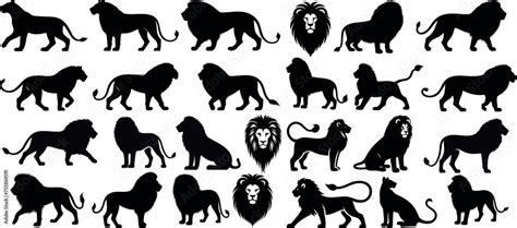 Lion Silhouettes In Various Poses Lion Vector Set Roaring Walking