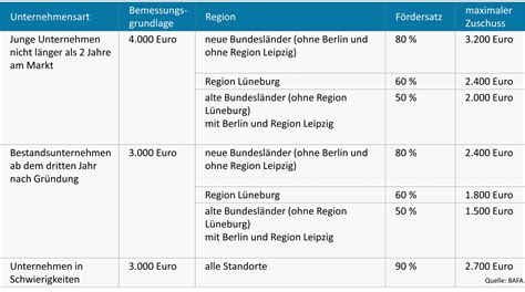 Das Bafa Förderprogramm Bis Zu 3200 Euro Zirbik Business Coaching