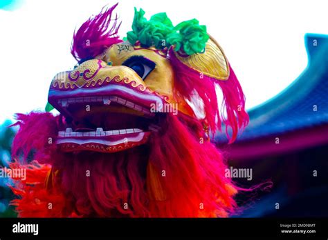 The Lion Dance Or Barongsai In Chinese New Year 2023 Semarang