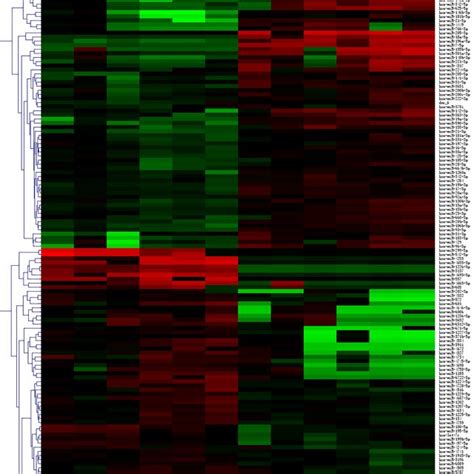 Cluster Analysis Of Mirna Microarrays For Cervical Cancer And Normal