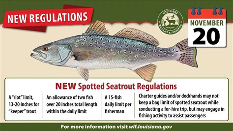 Louisiana S New Speckled Trout Regulations Limits