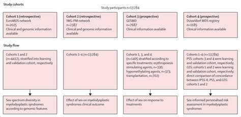 A Sex Informed Approach To Improve The Personalised Decision Making