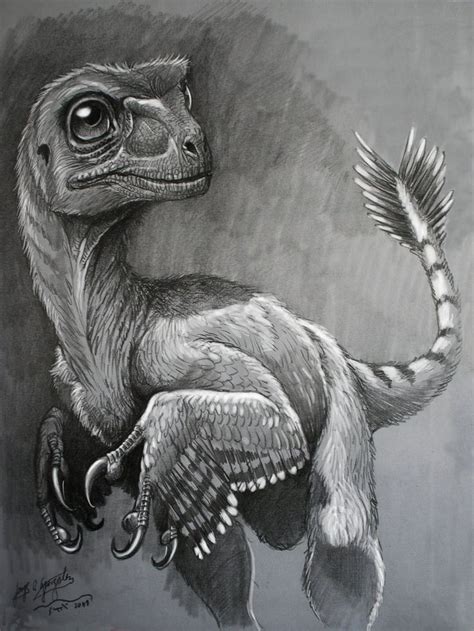 Feathered Raptor By Jorge Antonio González On Deviantart Animal