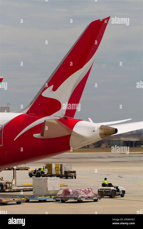 Qantas Tail View And Airport Ground Crew Loading And Unloading Cargo