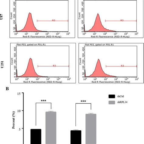 Knockdown Rpl Reduced Gbm Cell Growth A Representative Fluorescence