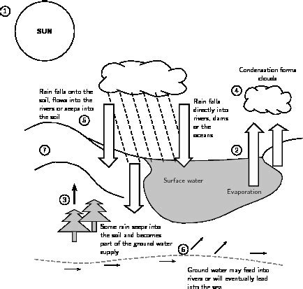 50 Carbon Cycle Diagram Worksheet