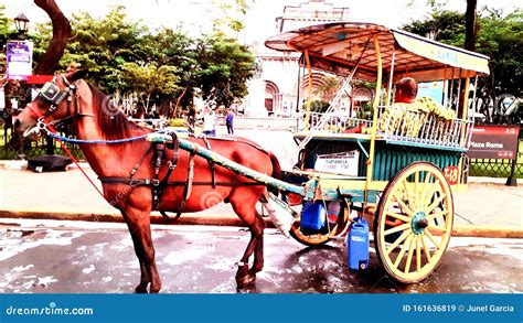 The Famous Philippine Kalesa with Manila Cathedral Background ...