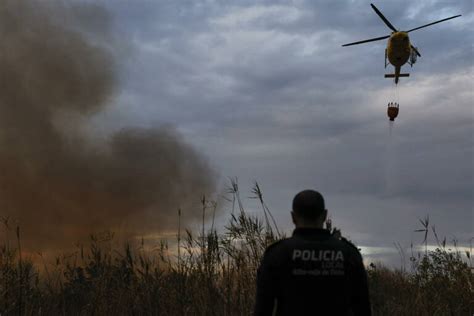 Los Incendios Forestales Arrasan Más De 26000 Hectáreas En Lo Que Va