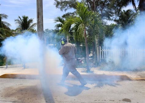 Fumigan Colonias De Puerto Morelos Para Combatir Enfermedades