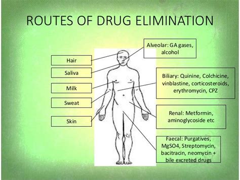 Factors Affecting Pharmacokinetic Parameters