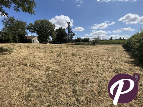 À vendre Terrain constructible 1679 m² situé à Sigoulès et Flaugeac