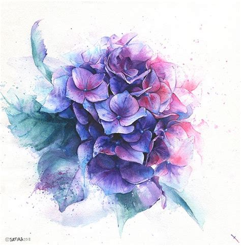 Hydrangea drawing. Watercolor blue, violet, pink and purple flower ...