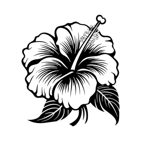 Premium Vector Hibiscus Flower Woodcut Drawing Vector Illustration