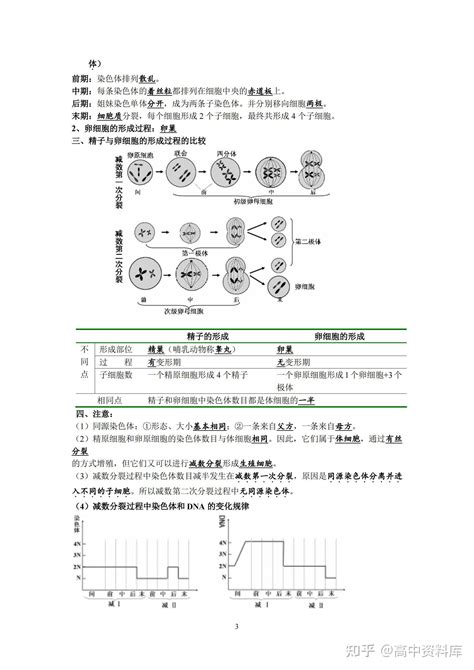 耗时7天！我将高中生物必修2知识点，汇成14页填空，建议人手一份 知乎