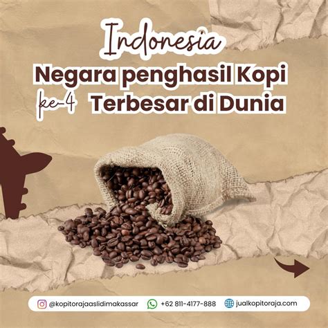 Indonesia Negara Penghasil Kopi Ke 4 Terbesar Di Dunia Jual Kopi Toraja