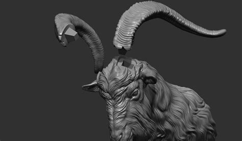 3d Goat Head Turbosquid 1960613