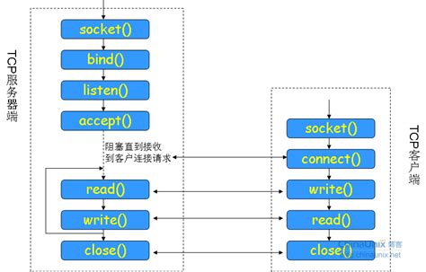 Tcp套接字编程模型及实例 · 网络分析与网络编程