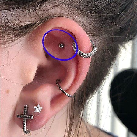 Piercing Orelha Cartilagem Tragus H Lix Labret A O Cir Rgico Loja De