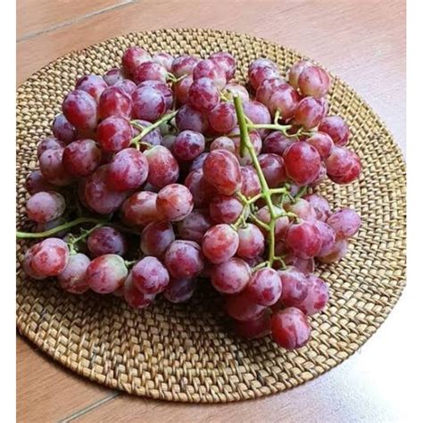 Jual Buah Anggur Merah Impor Red Globe Fresh Kg Shopee Indonesia