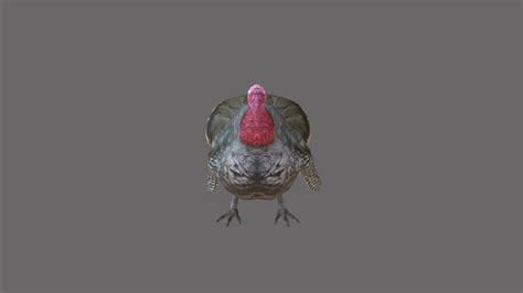 Turkey 3d Model By Kwhsu [bad721e] Sketchfab