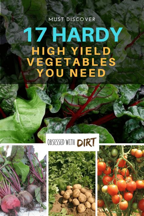 17 High Yield Vegetables To Grow In Small Space Gardens Gardeners Magazine