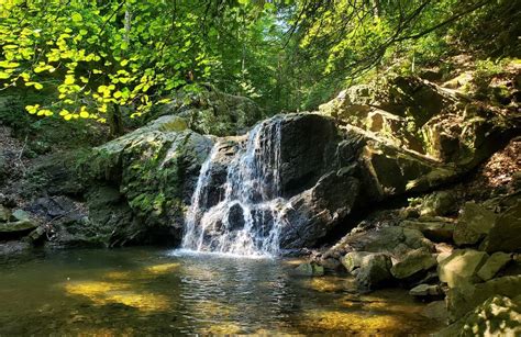 10 Best hikes and trails in Patapsco Valley State Park | AllTrails