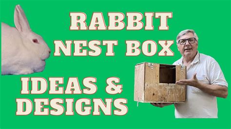 Rabbit Nest Box Ideas Designs For Success In The Nest Youtube