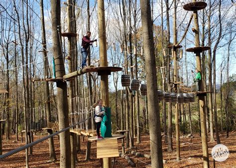 TreeTrekkers Frederick MD Outdoor Adventure Park | See Mom Click