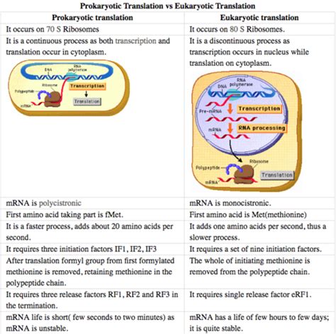 Mechanisms Of Microbial Genetics Openstax Microbiology