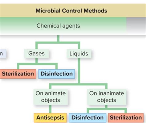 Physical And Chemical Control Of Microbes Flashcards Quizlet