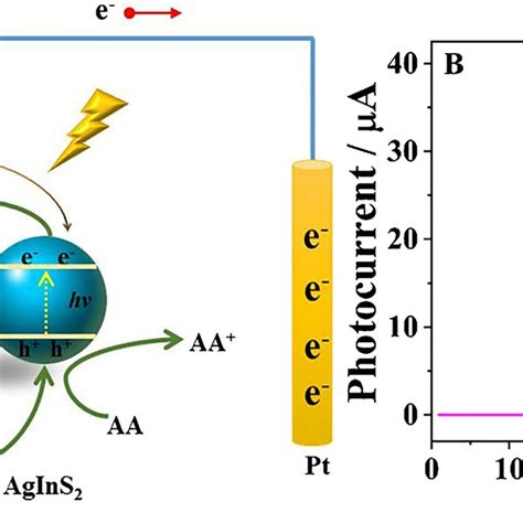 A Schematic Illustration Of The Photoelectrochemical Aptasensor B