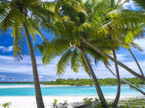 Pacific Resort Aitutaki Luxury Hotel In Cook Islands Small Luxury