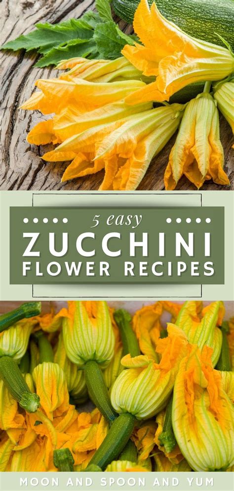 All About Zucchini Flowers Delicious Zucchini Flower Recipes In