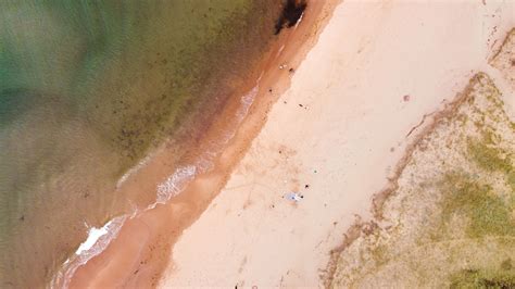 First Real Flight Blooming Point Beach In Prince Edward Island