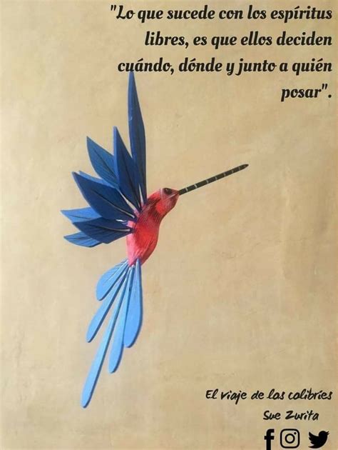 el viaje de los colibríes en 2023 Frases celebres positivas