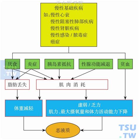 恶液质的症状 肿瘤恶液质 天山医学院